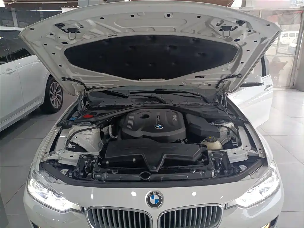 BMW 3 Series 2018 318Li фото 16