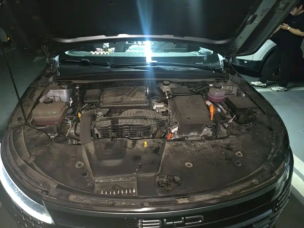 BYD Destroyer 05 2024 Glory Edition DM-i 55KM Luxury фото 11