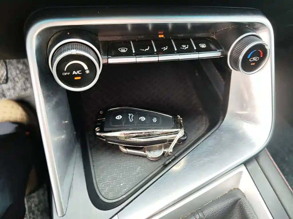 Фото 9 - Geely Binrui