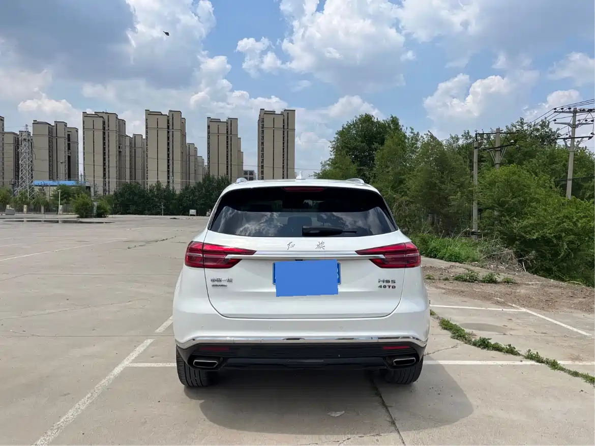 Hongqi HS5 2019 2.0T Smart Connect Enjoy 4WD Edition фото 15