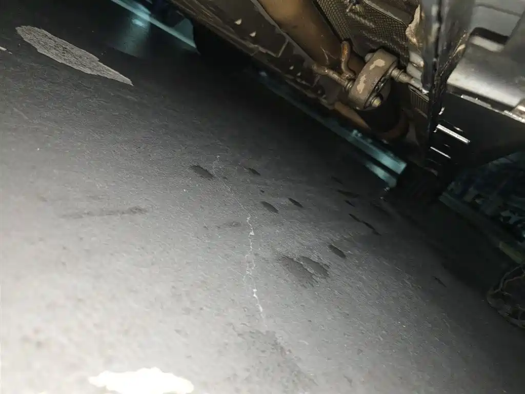 BYD Destroyer 05 2024 Glory Edition DM-i 55KM Luxury фото 16