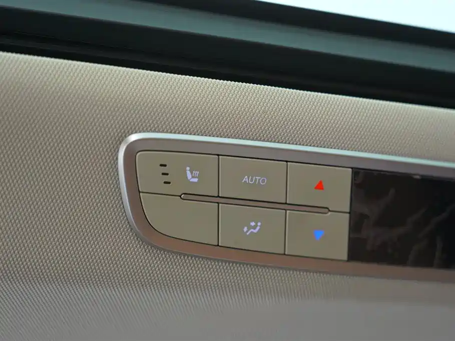 Hongqi HQ9 PHEV 2024 Model 2.0T AWD Business Edition фото 20