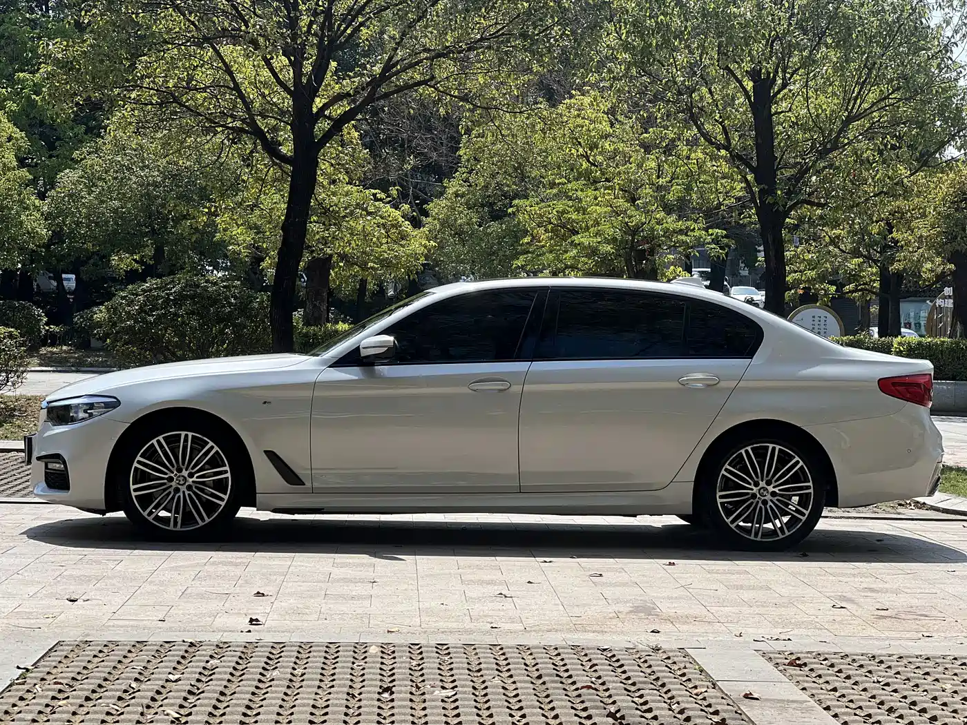 BMW 5 Series 2019 530Li Leading M Sport Package фото 10