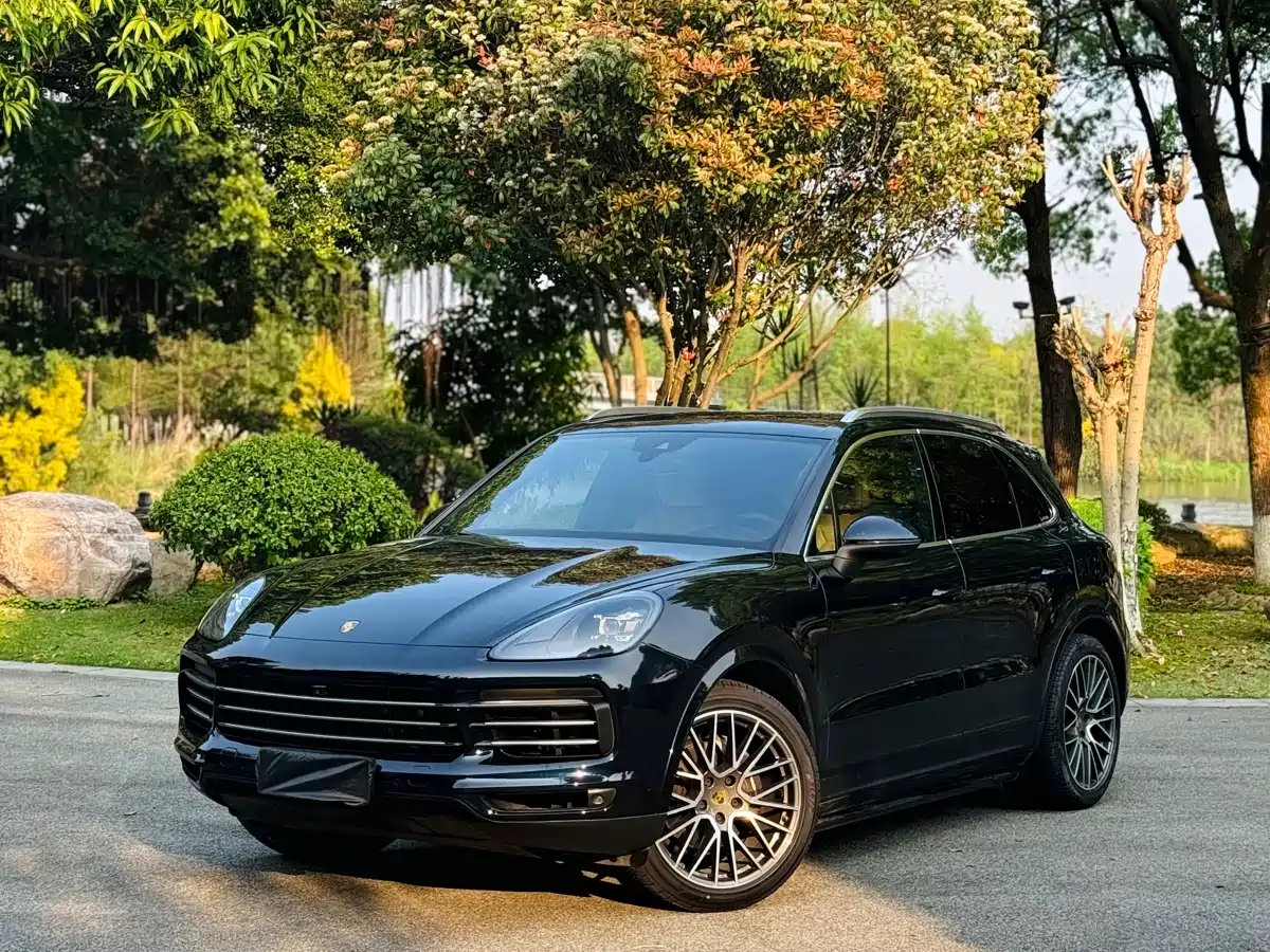 Porsche Cayenne 2018 Cayenne 3.0T фото 3