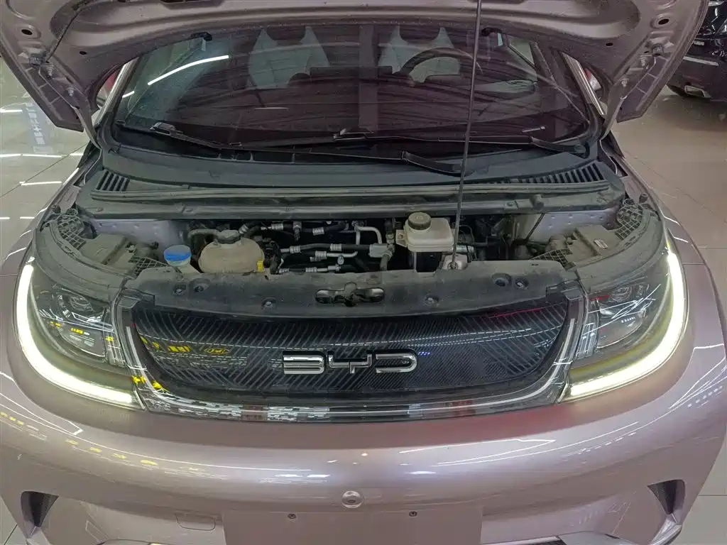 BYD Dolphin 2021 Model 405km Fashion Edition фото 19