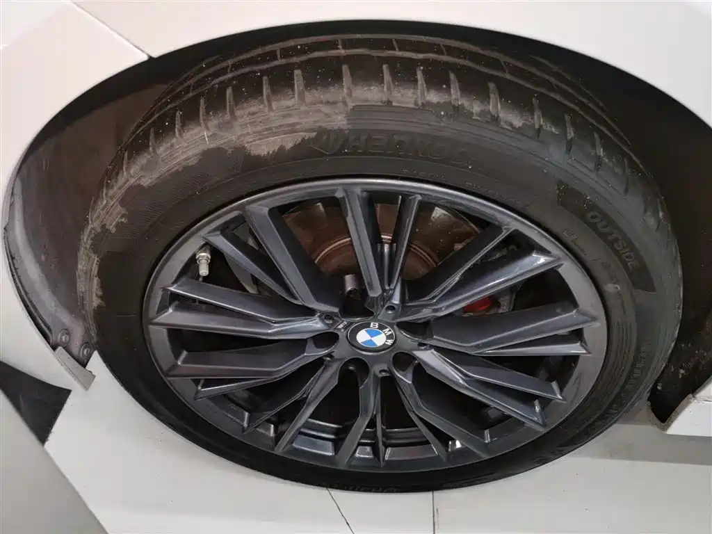 BMW 3 Series 2023 325Li M Sport Black Night Package фото 25