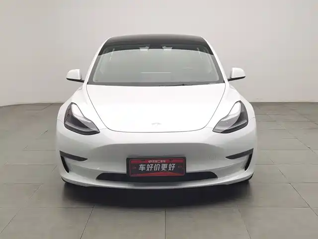 Tesla Model 3 2021 Performance High-Performance All-Wheel Drive — фото 3