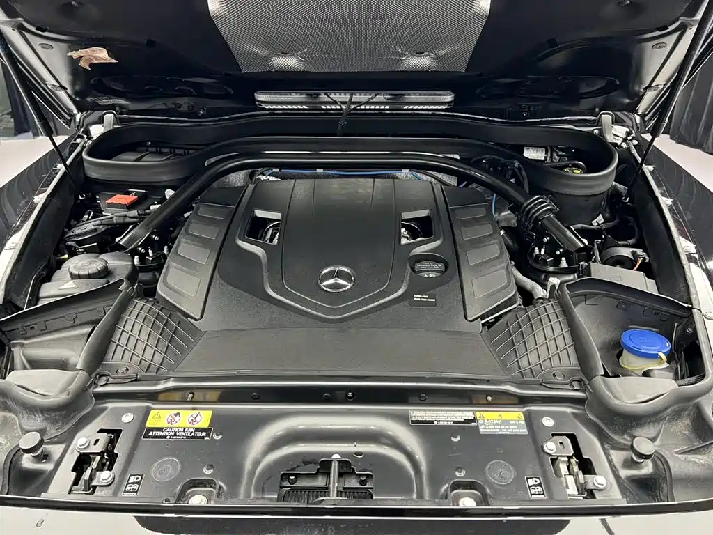 Mercedes-Benz G-Class 2019 G 500 фото 10