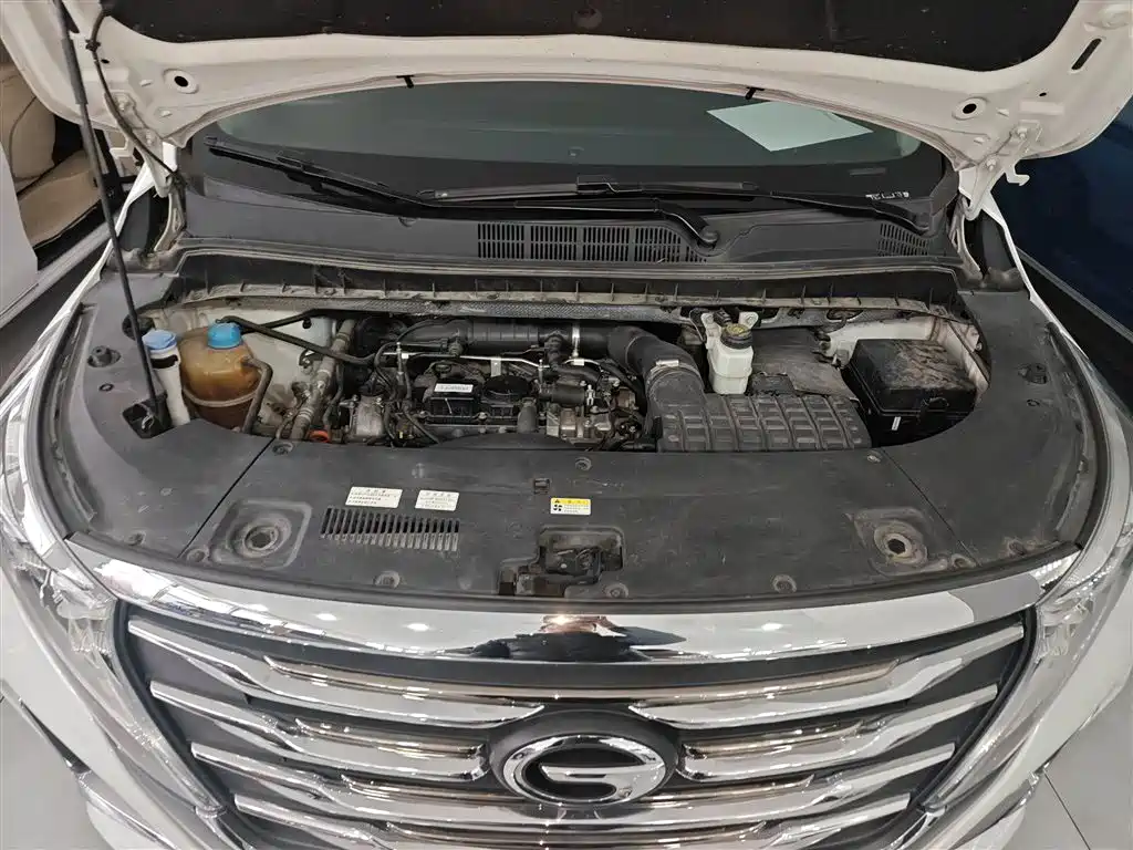 GAC Trumpchi Trumpchi M8 2020 Pilot 390T Premium Edition фото 20