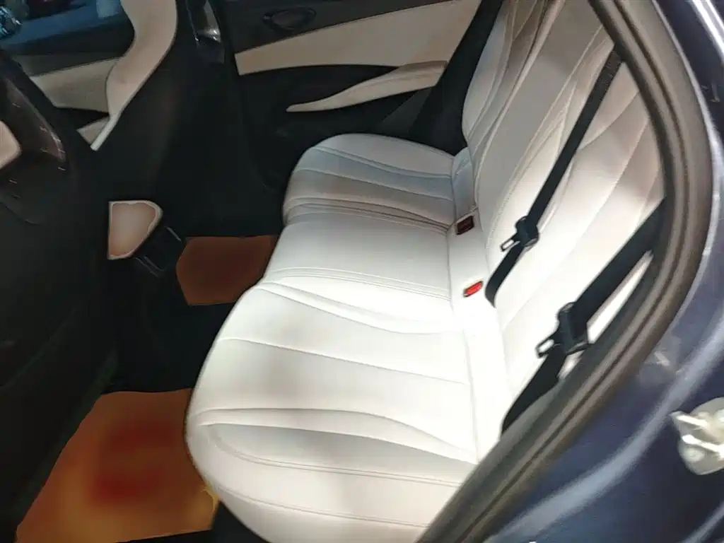 BYD Seal 06 New Energy 2024 DM-i 80KM Luxury фото 17