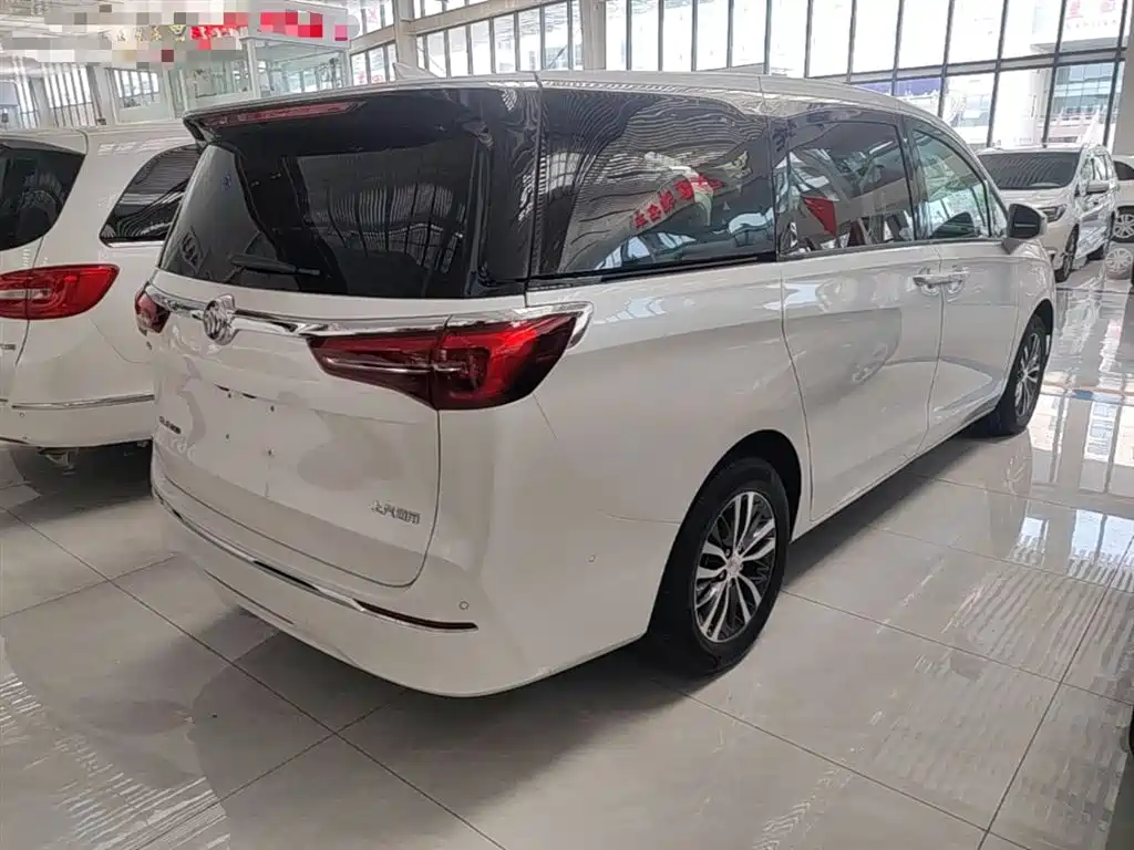 Buick GL8 2021 ES Landlord 653T Premium фото 7