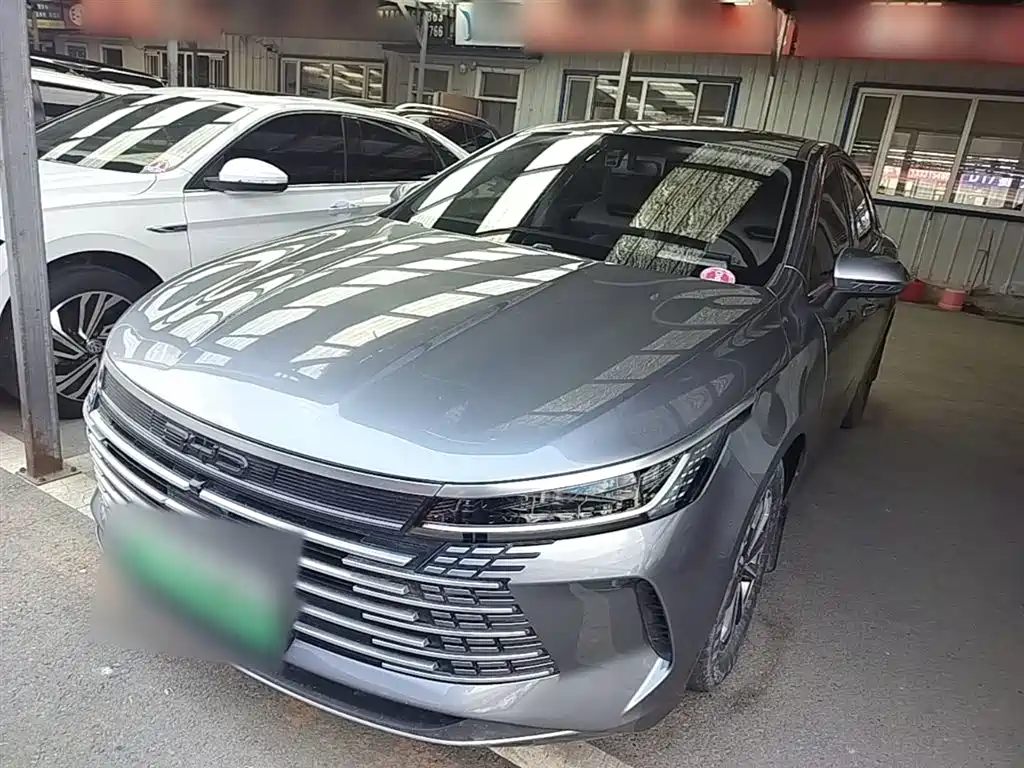 BYD Destroyer 05 2024 Glory Edition DM-i 55KM Luxury