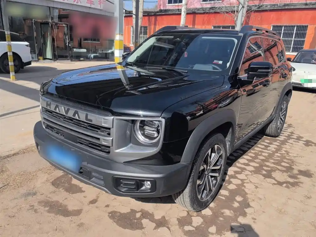 Haval Big Dog 2024 1.5T DCT Border Collie Edition фото 2