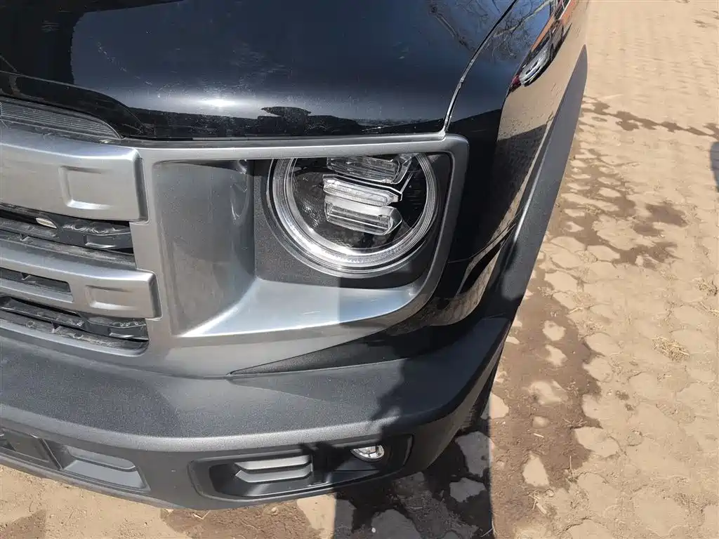 Haval Big Dog 2024 1.5T DCT Border Collie Edition фото 24