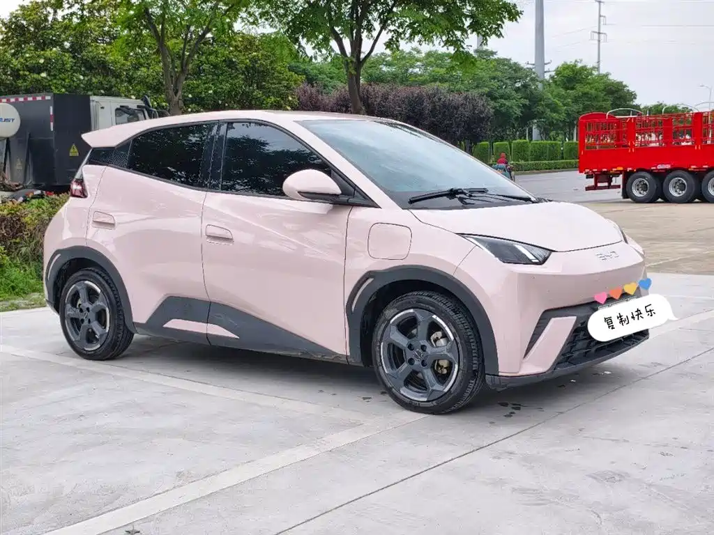 BYD Seagull 2024 Glory Edition 305km Freedom Edition фото 3