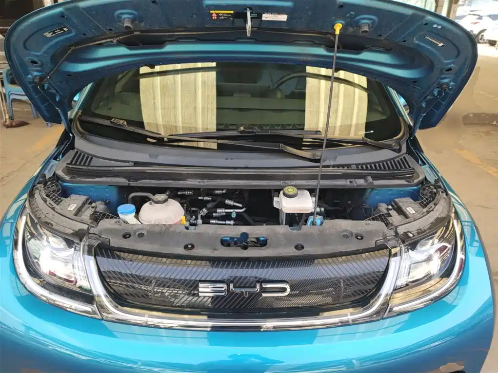 BYD Dolphin 2021 Model 405km Fashion Edition фото 16