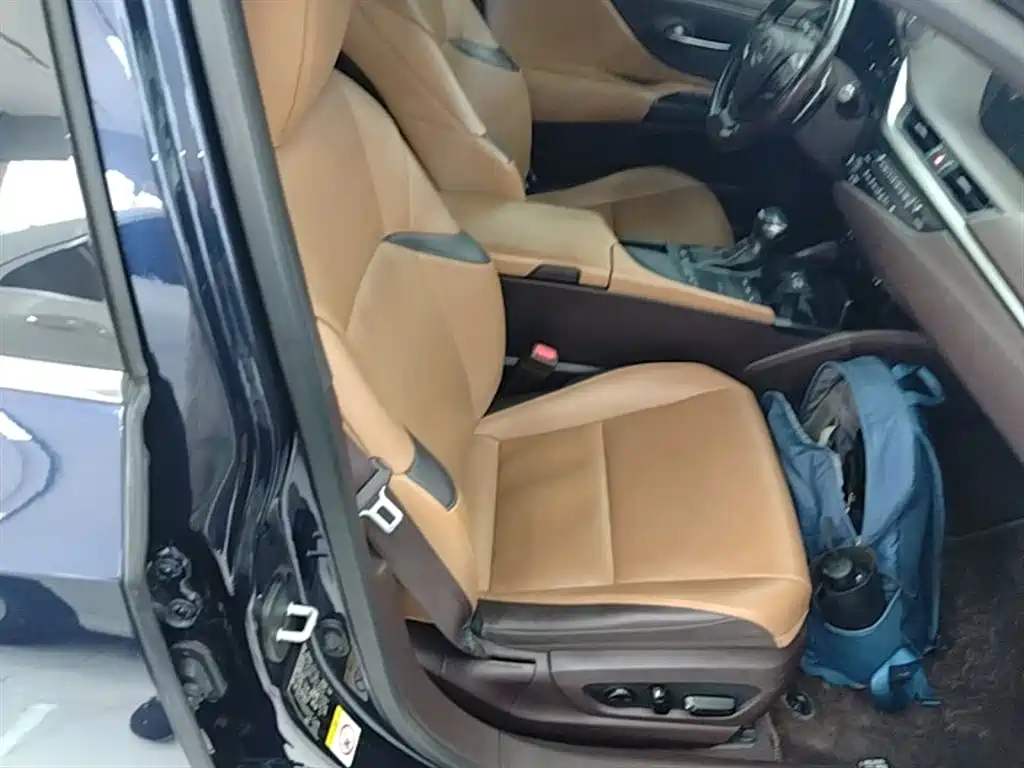 Lexus ES 2018 200 Excellence Edition China V фото 25