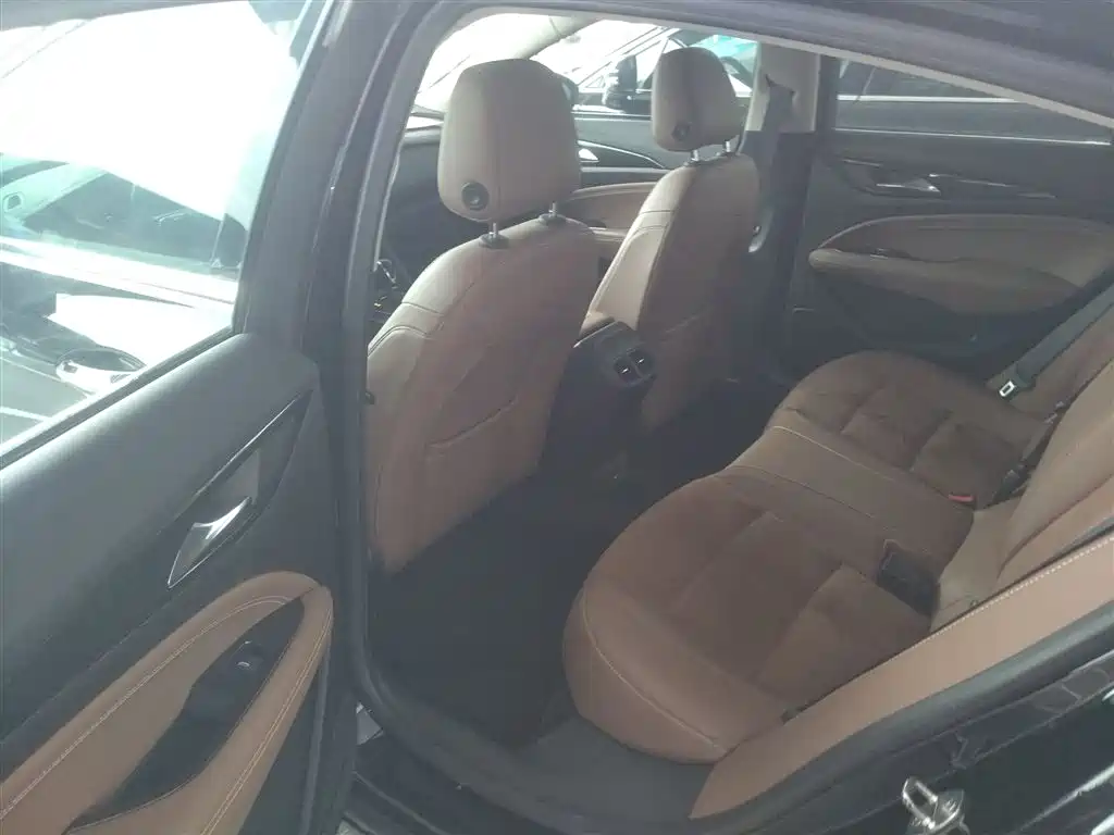 Buick Regal 2017 20T Elite Type фото 13