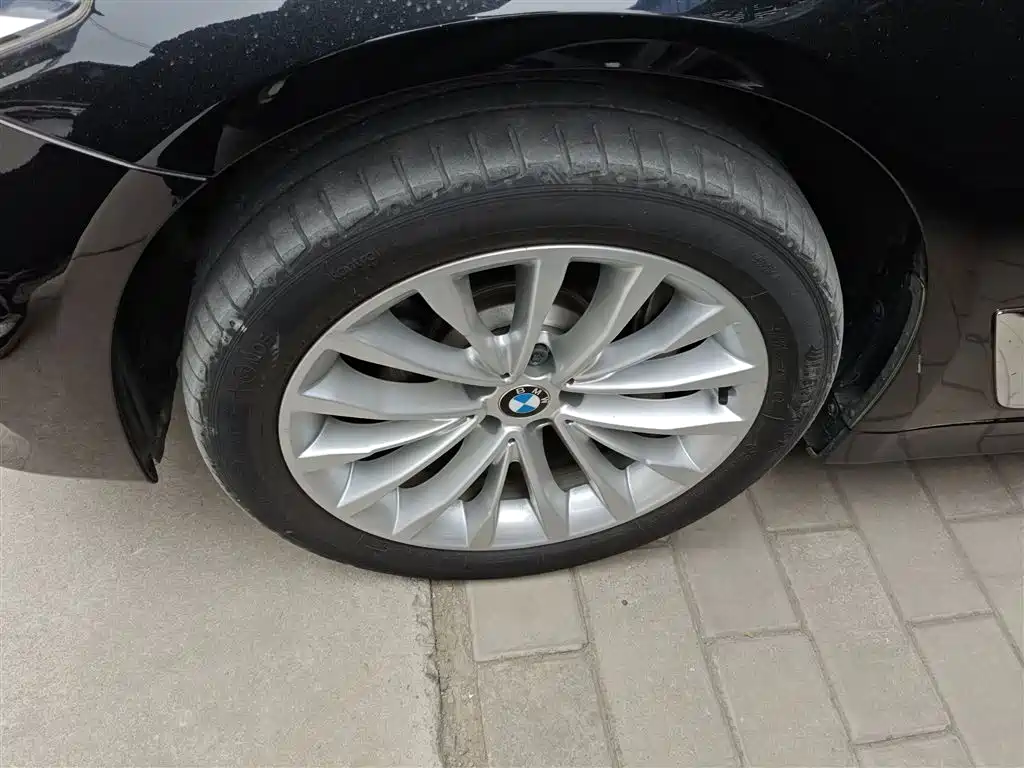 BMW 5 Series 2018 530Li xDrive Luxury Package фото 23
