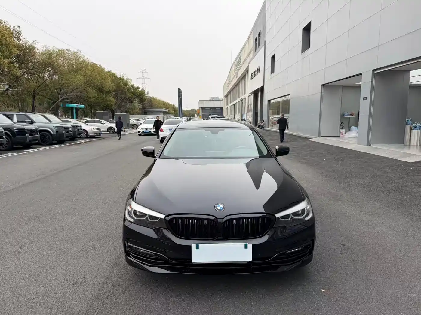 BMW 5 Series 2019 530Li Premium Luxury Package фото 2