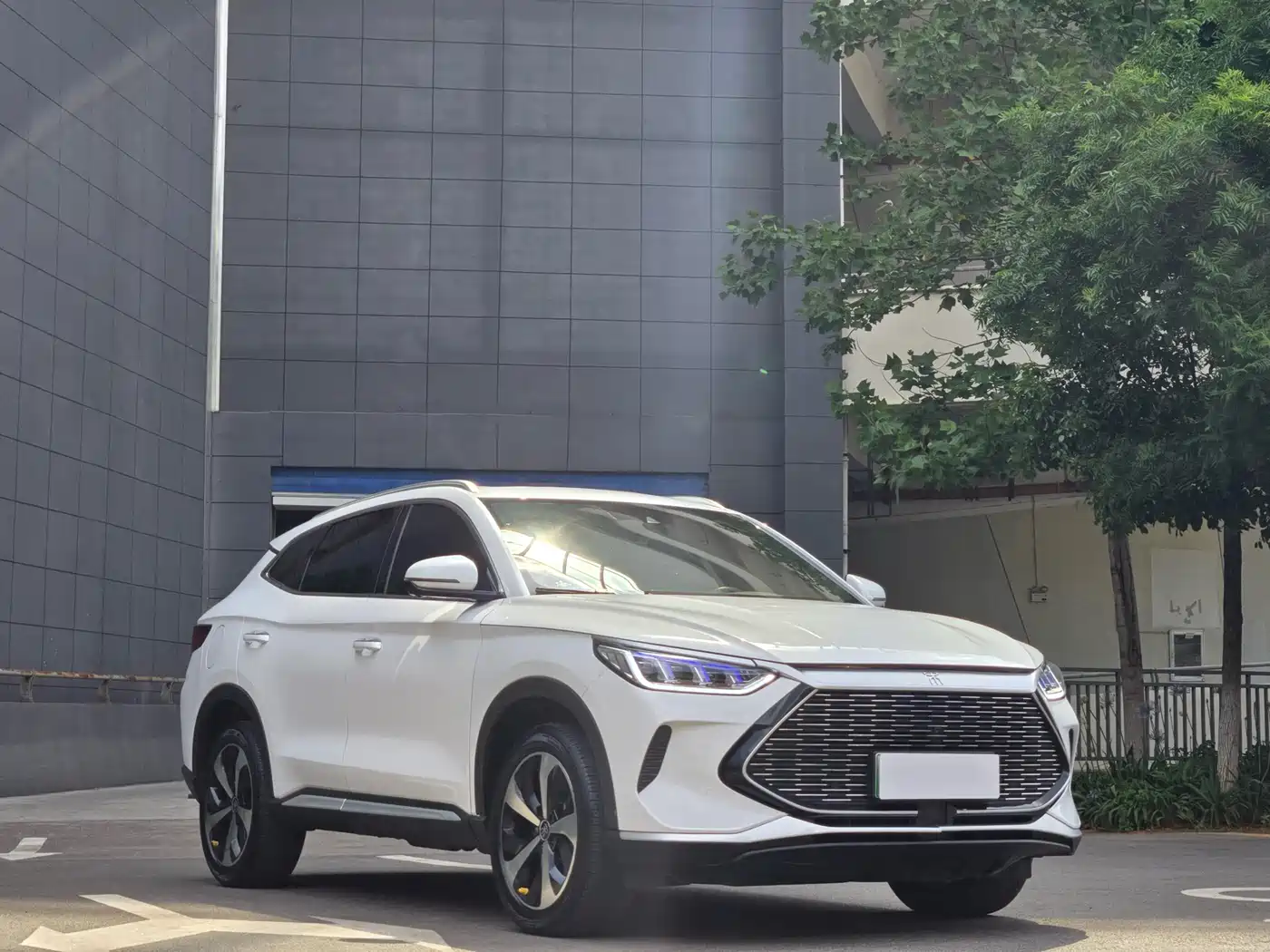 BYD Song PLUS PHEV 2021 DM-i 51KM Honor фото 3