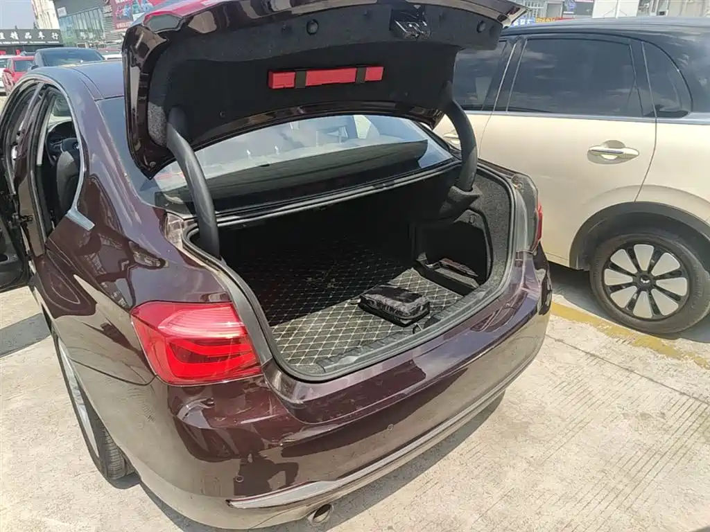 BMW 3 Series 2016 320Li Progressive фото 19
