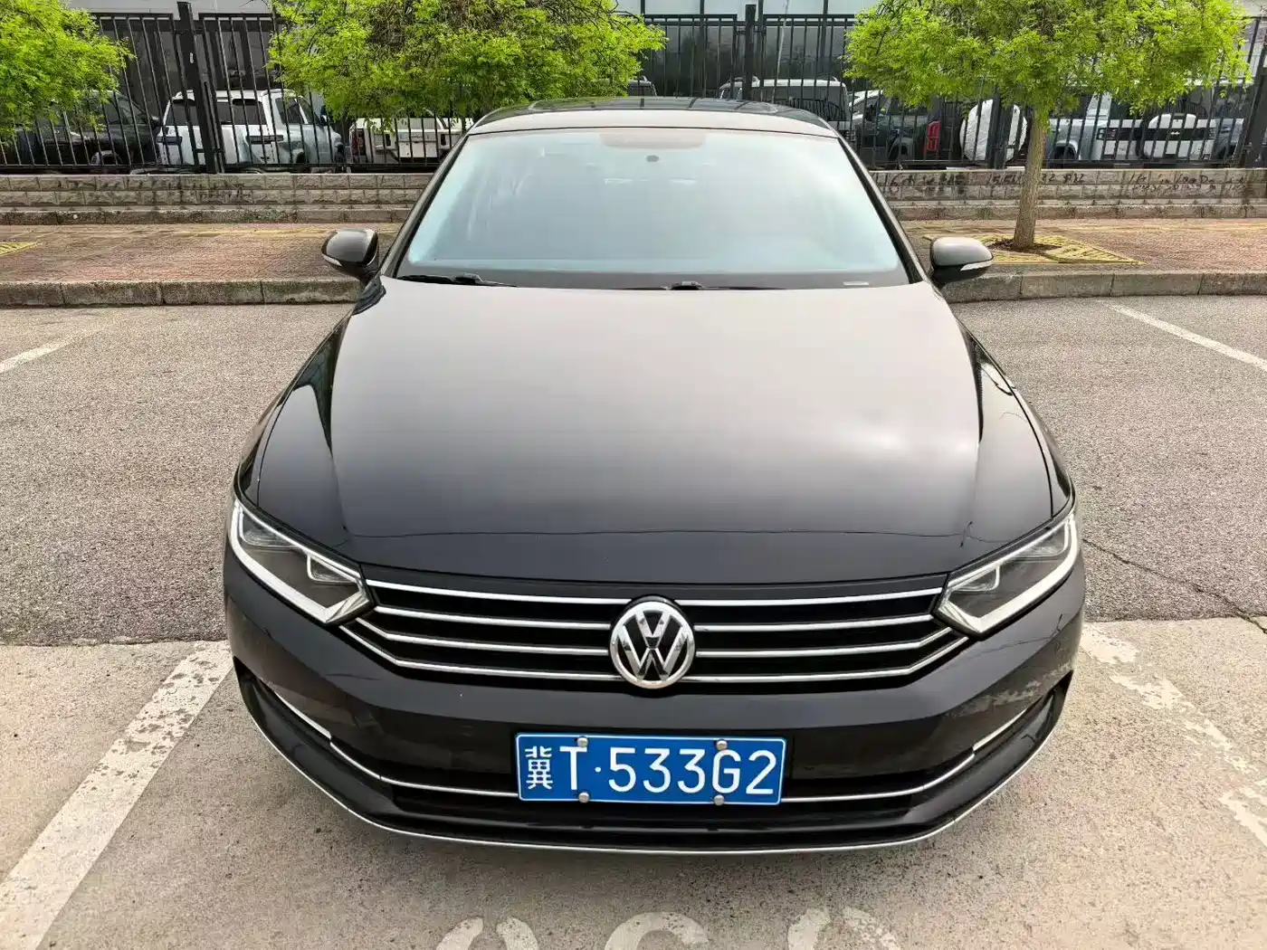 Volkswagen Magotan 2019 280TSI DSG Comfort China VI фото 2