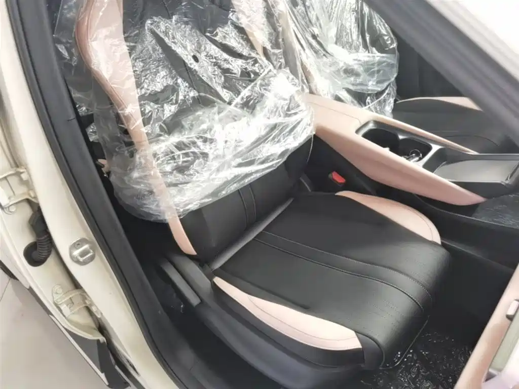 BYD Seagull 2025 Smart Drive Edition 305km Vitality Version фото 25