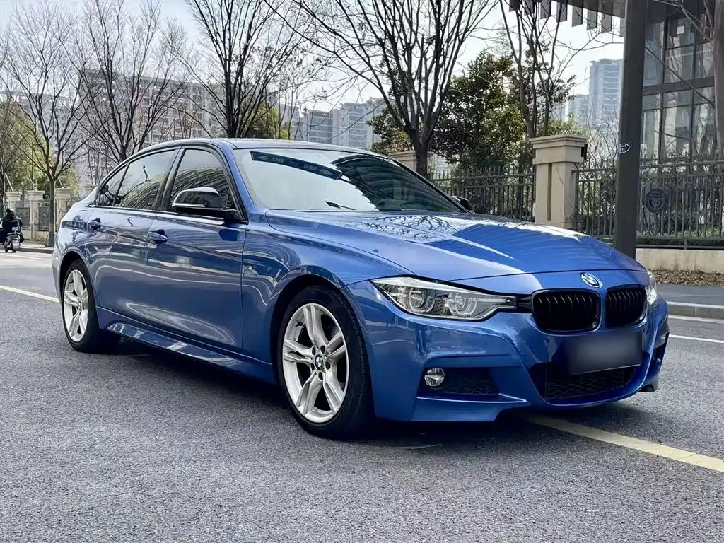 BMW 3 Series 2017 320Li M Sport фото 23