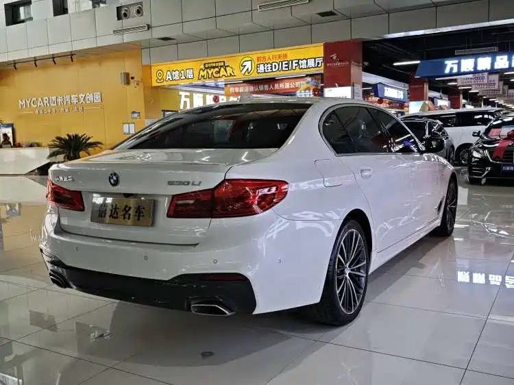 BMW 5 Series 2020 530Li Exclusive M Sport Package фото 18