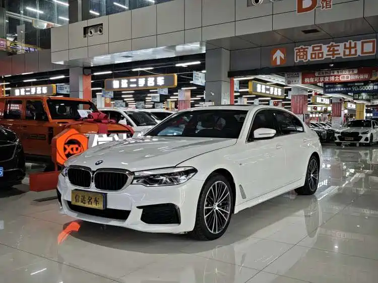 BMW 5 Series 2020 530Li Exclusive M Sport Package