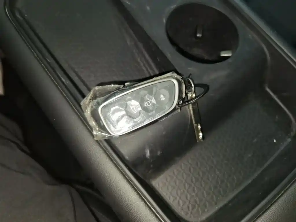 Haval Xiaolong MAX 2025 Hi4 165 Plus Long Range фото 9