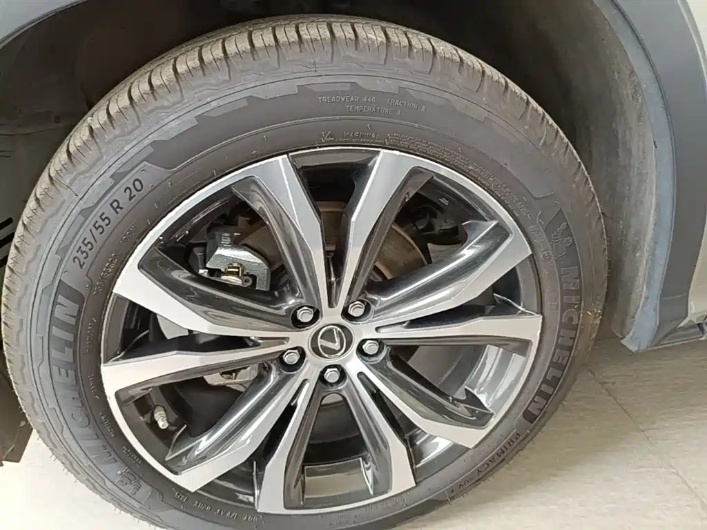 Lexus RX 2020 300 4WD Elegance Edition China VI фото 23