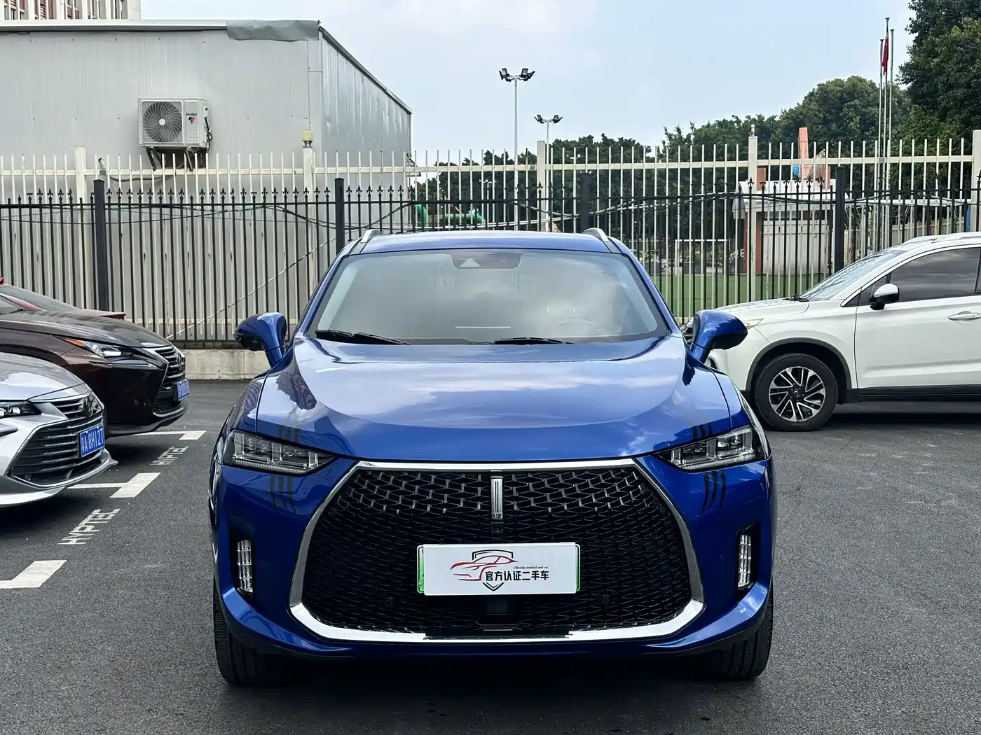 2018 WEY P8