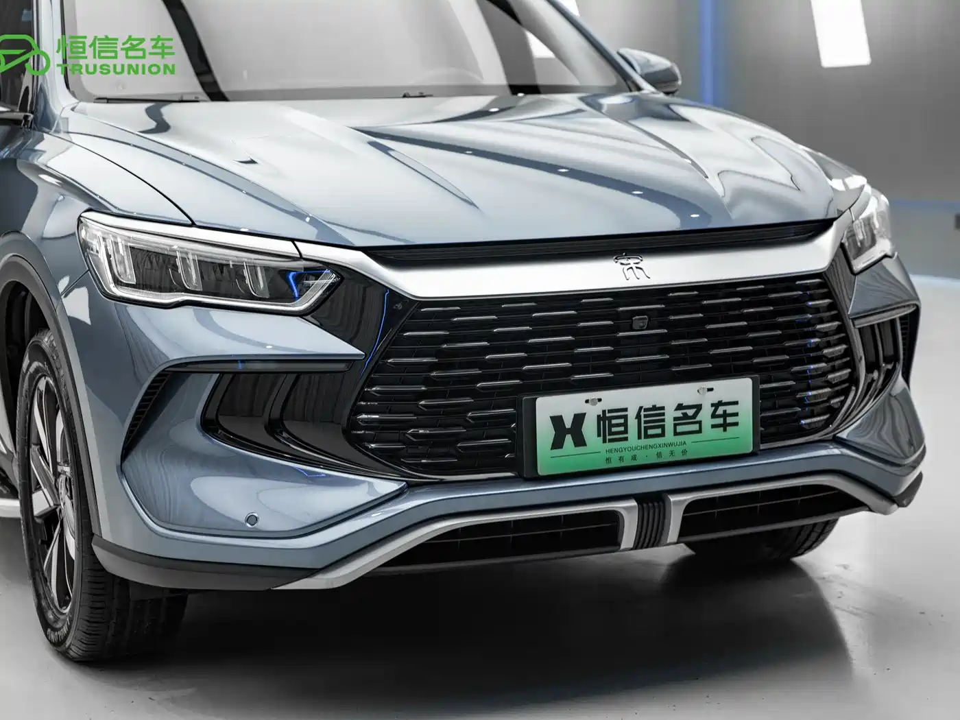 BYD Song Pro New Energy 2024 Glory Edition DM-i 71KM Pilot фото 9
