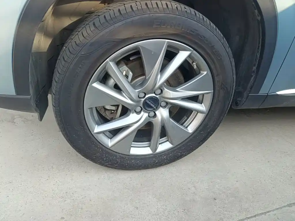 Haval H6 New Energy 2023 2023 DHT-PHEV 55KM Joy Ride Edition