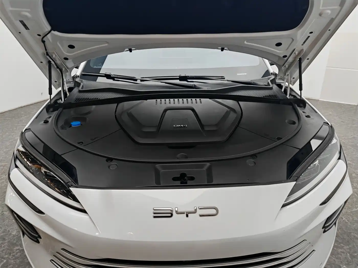BYD Song PLUS PHEV 2024 Glory Edition DM-i 110km Flagship PLUS фото 13