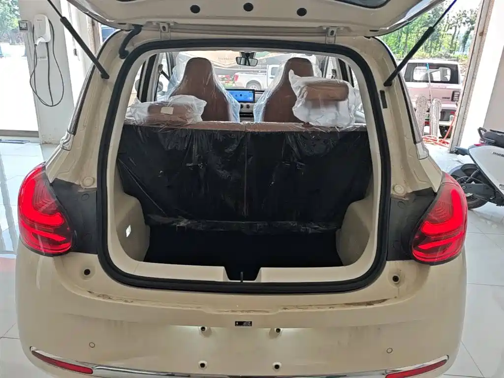Wuling Motors Wuling Bingo 2026 2025 Model 333km Joy Edition
