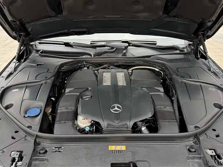 Mercedes-Benz S-Class 2014 S 320 L Business фото 20