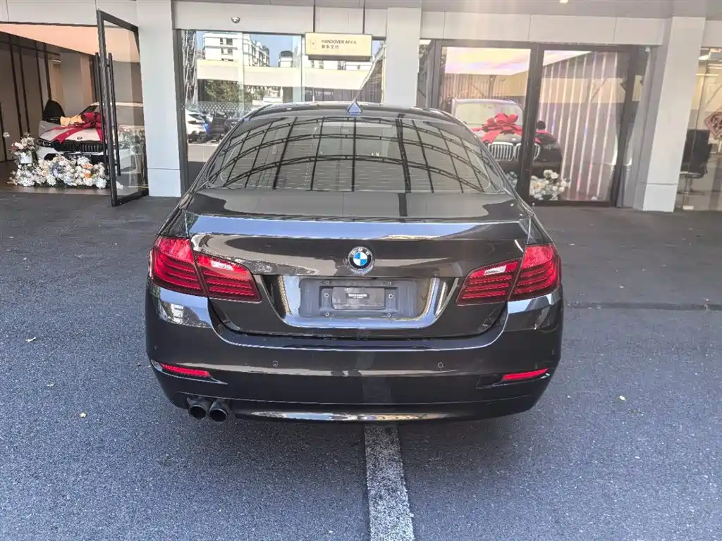 BMW 5 Series 2014 520Li Elegance фото 5