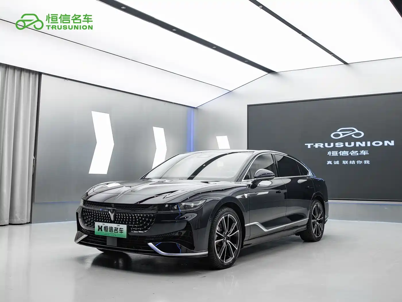 Voyah Auto VOYAH Zhuiguang 2024 PHEV AWD Ultra Long Range Flagship