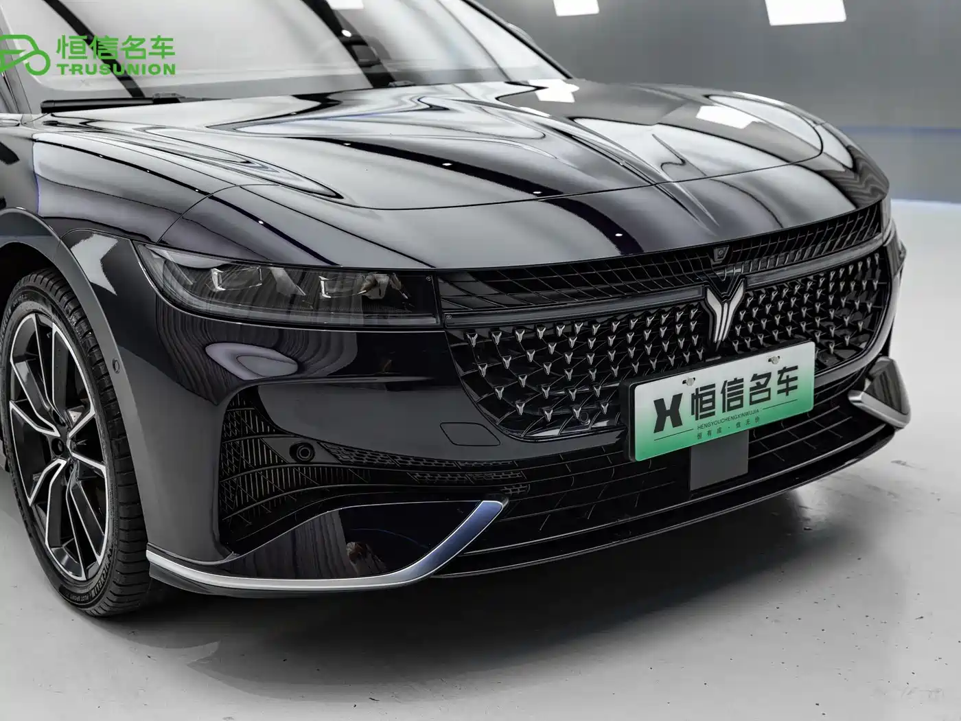 Voyah Auto VOYAH Zhuiguang 2024 PHEV AWD Ultra Long Range Flagship фото 10