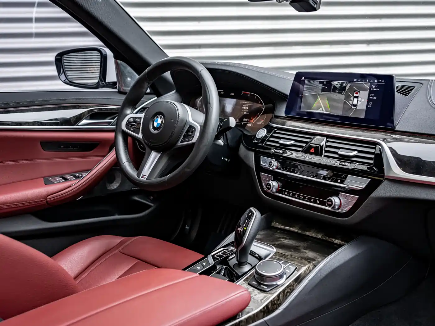 BMW 5 Series 2020 530Li Leading M Sport Package фото 9
