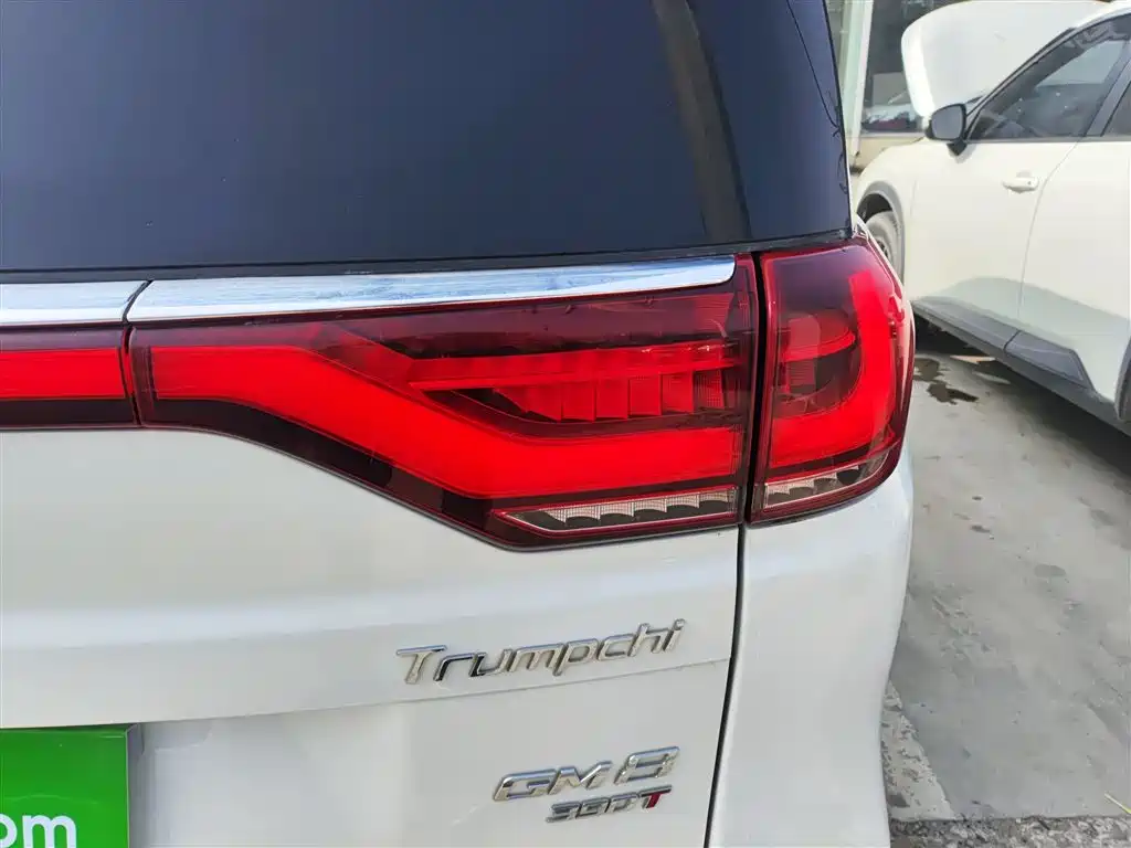 GAC Trumpchi Trumpchi M8 2020 Pilot 390T Premium Edition фото 8