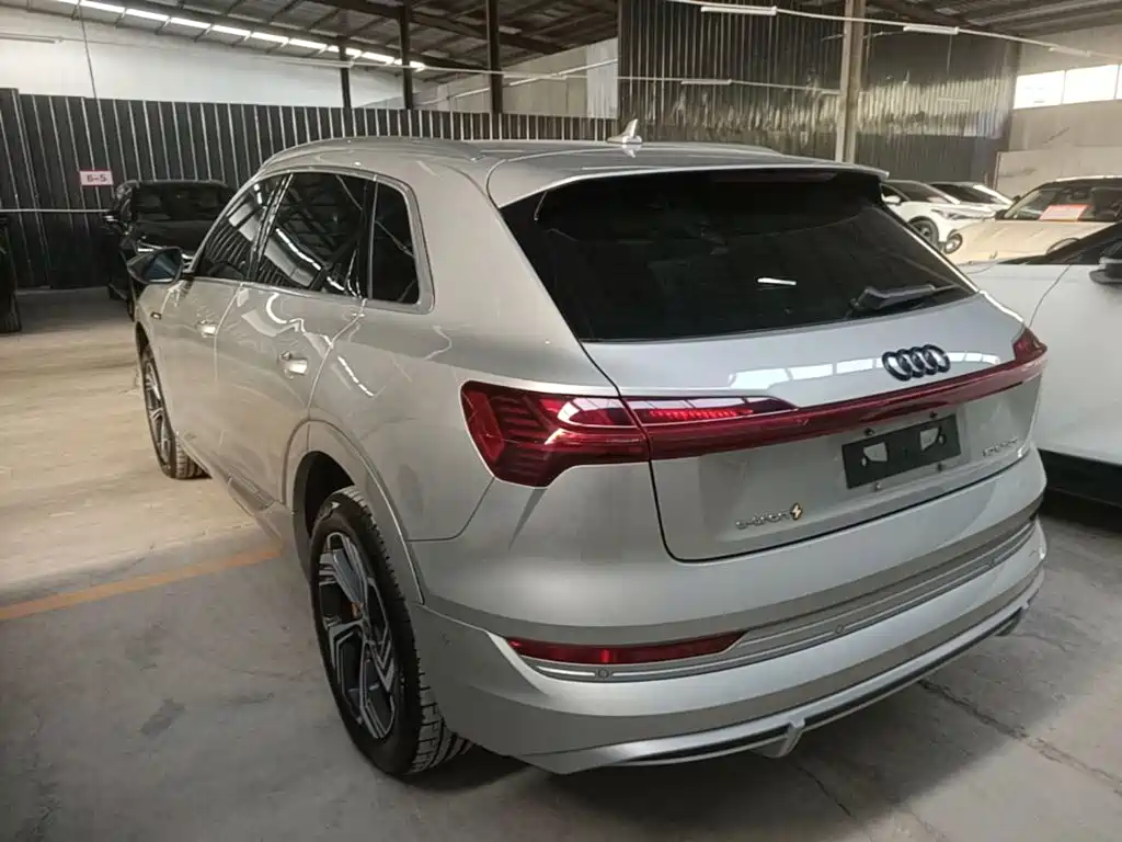 Audi e-tron 2024 2021 50 quattro Exclusive Selection
