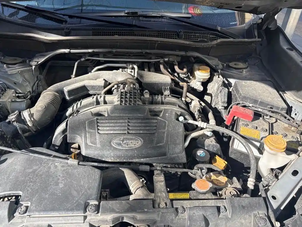 Фото 3 - Subaru Forester