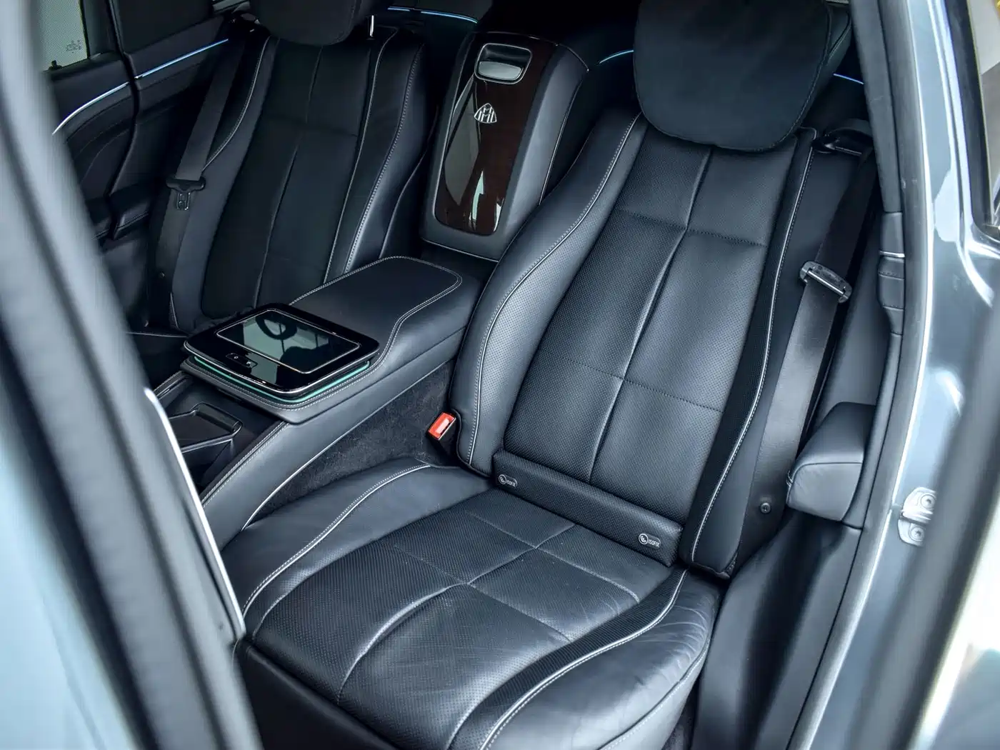 Mercedes-Benz Maybach GLS 2021 GLS 600 4MATIC Ritual Edition фото 14