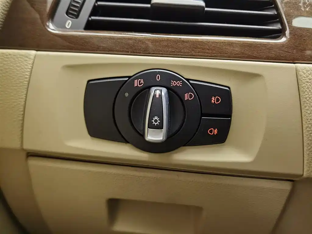 BMW 3 Series (Import) 2010 325i Luxury фото 21