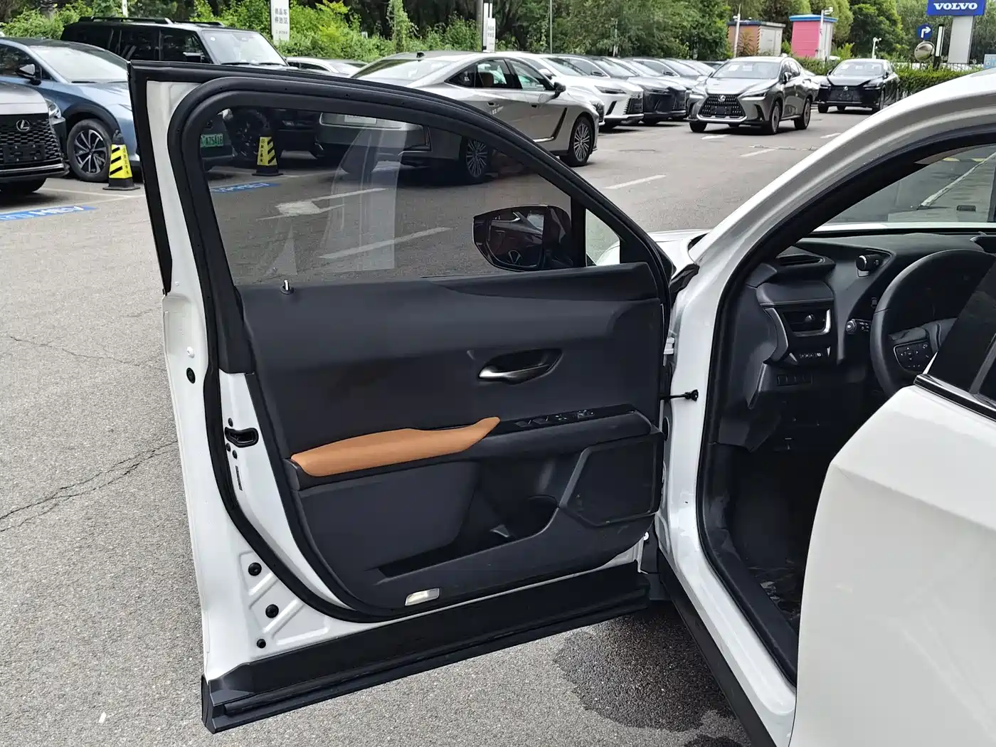Lexus UX 2022 2020 260h Explore Fun Edition