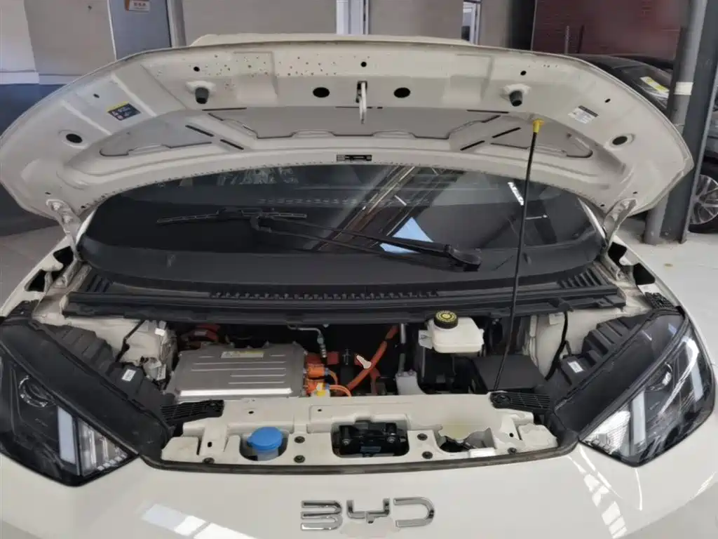 BYD Seagull 2025 Smart Drive Edition 305km Vitality Version фото 20